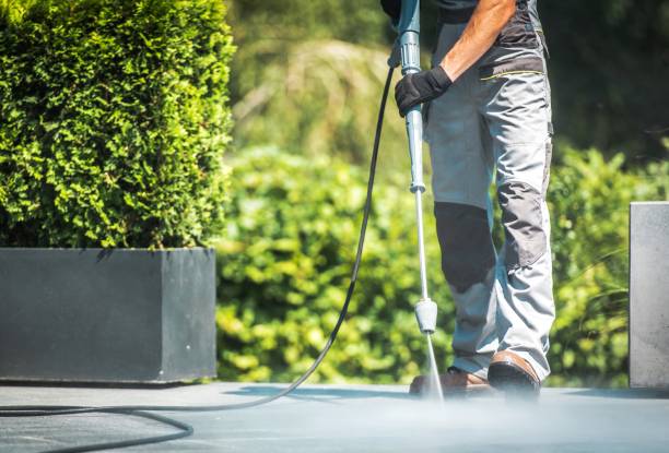 Best Driveway Pressure Washing  in Livingston, AL
