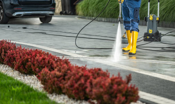 Best Patio and Deck Pressure Washing  in Livingston, AL